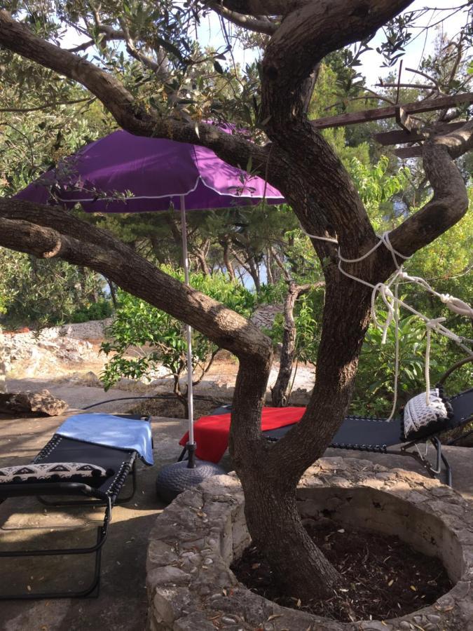 דירות סופטאר Shambala מראה חיצוני תמונה